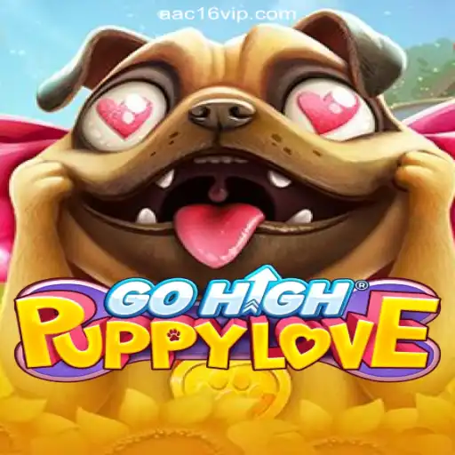 Discovering the World of GoHighPuppyLove: A New Favorite on the AAC16.com Platform